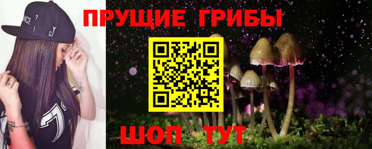 Галлюциногенные грибы Cubensis Знаменск