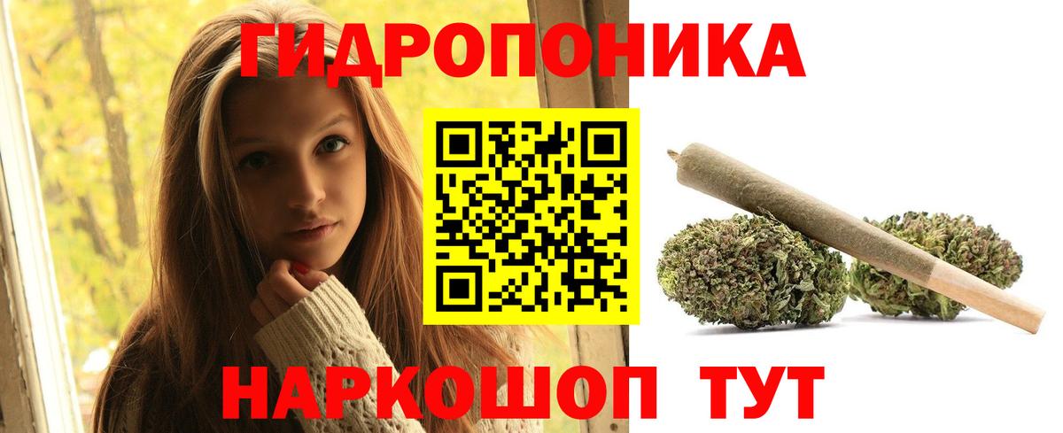 Канабис OG Kush  Вход с VPN  Шишки марихуана OG Kush  Знаменск  МАРИХУАНА сатива 